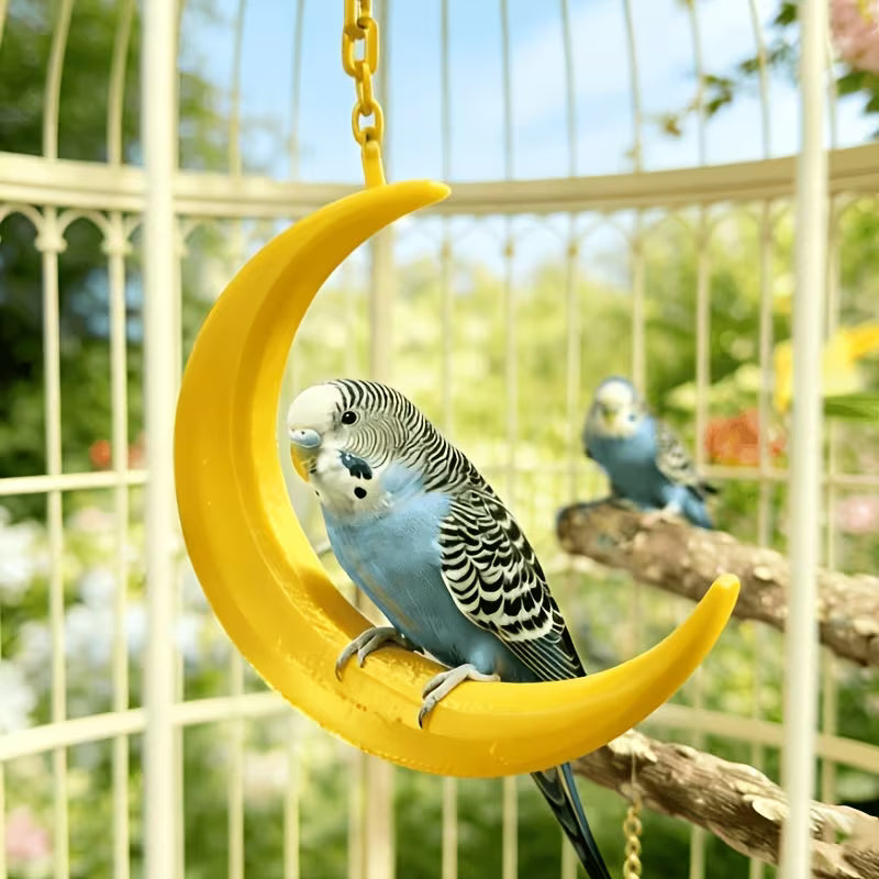 Parrot Moon Swing, Hanging Bird Perch Stand, Swing