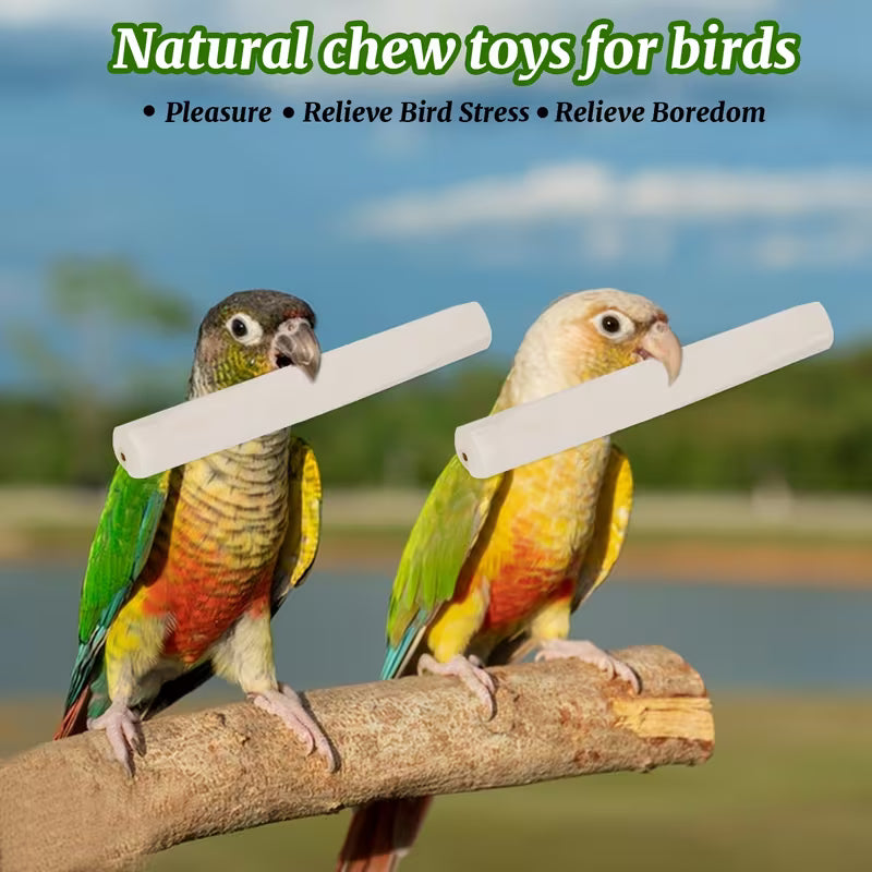 3.9In Natural Sola Sticks Toy