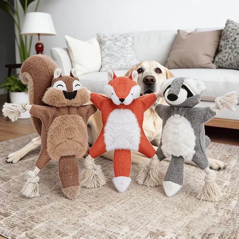 Durable Crinkle Squeaky Pet Toys Set