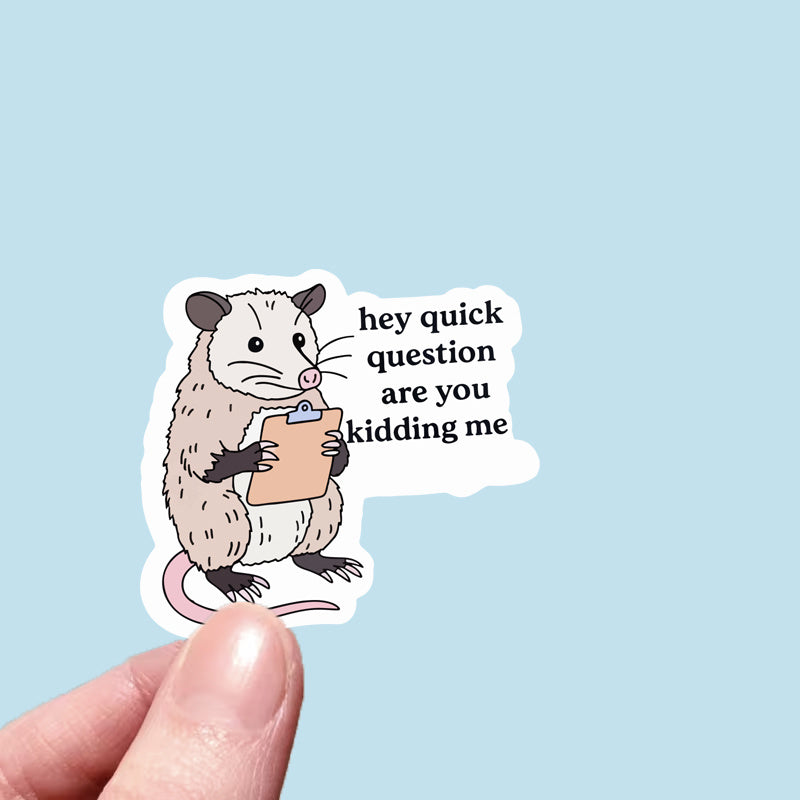 Hey, Quick Question: Are You Kidding Me? Fun Stickers, Scratch-resistant