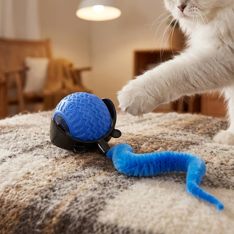 Indoor Cat Toy • Interactive Toy Set
