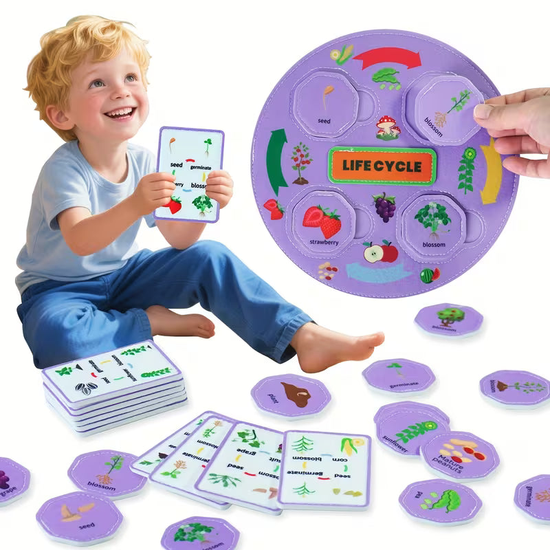 51-Piece Plant and Fruit Life Cycle Toy Set