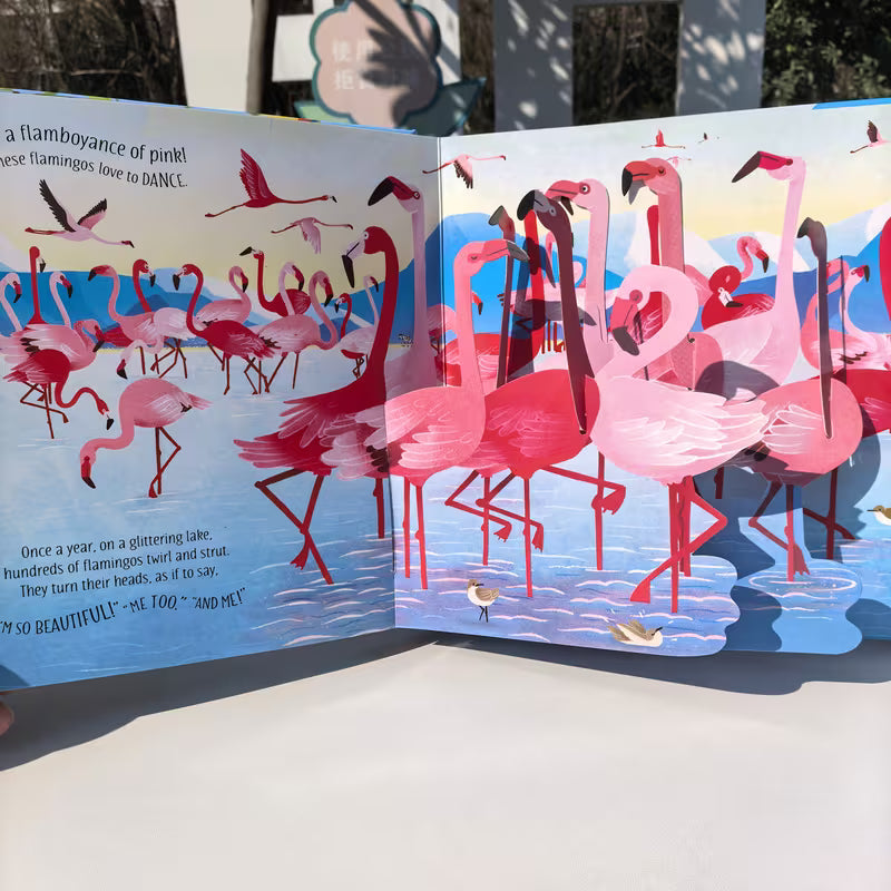 Pop-up Birds Series Develops Imagination and Reading Ability