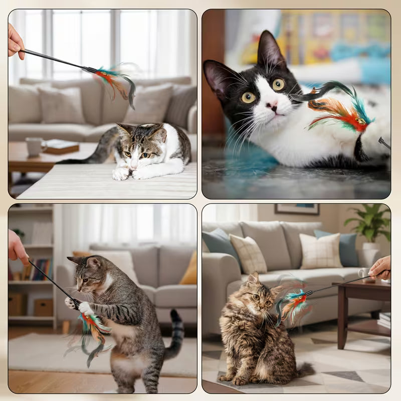 Cat Wand Feather Stick Cat Bulk Feather Set