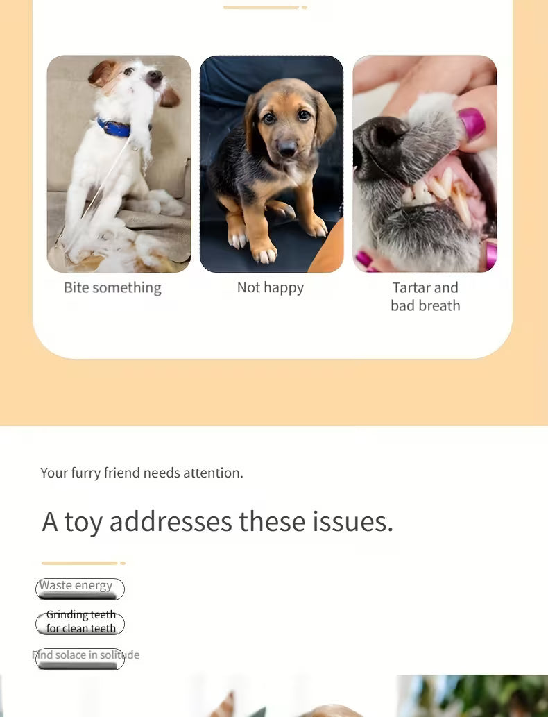 Pet Toys That Make Sounds