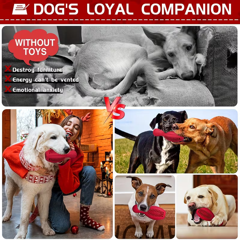 Dog Chew Toy Set