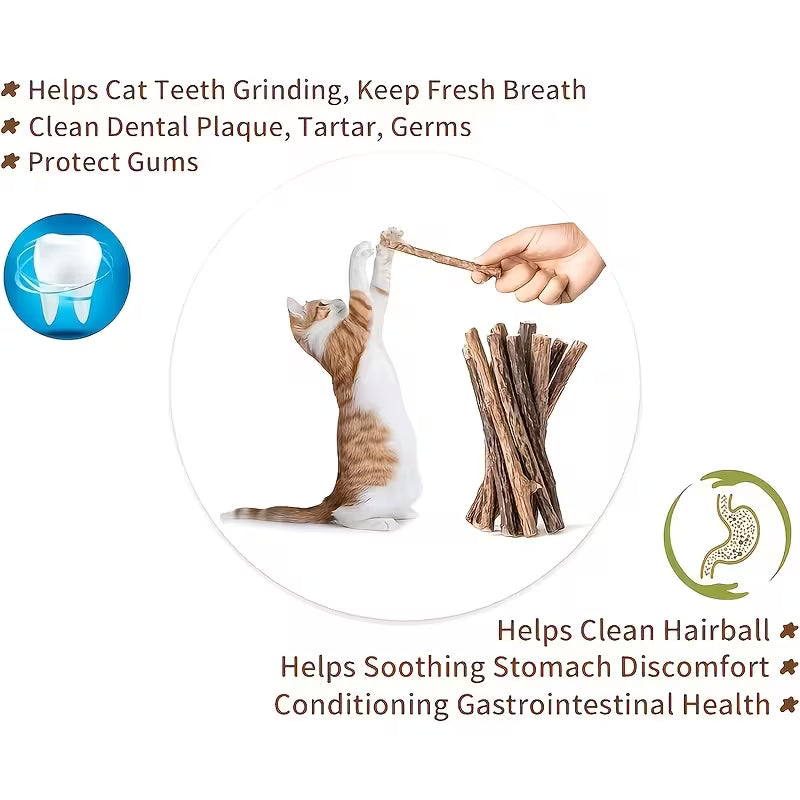 Pack Is Suitable for Pet Cats' Healthy Grinding Teeth Sticks. Set, Wooden