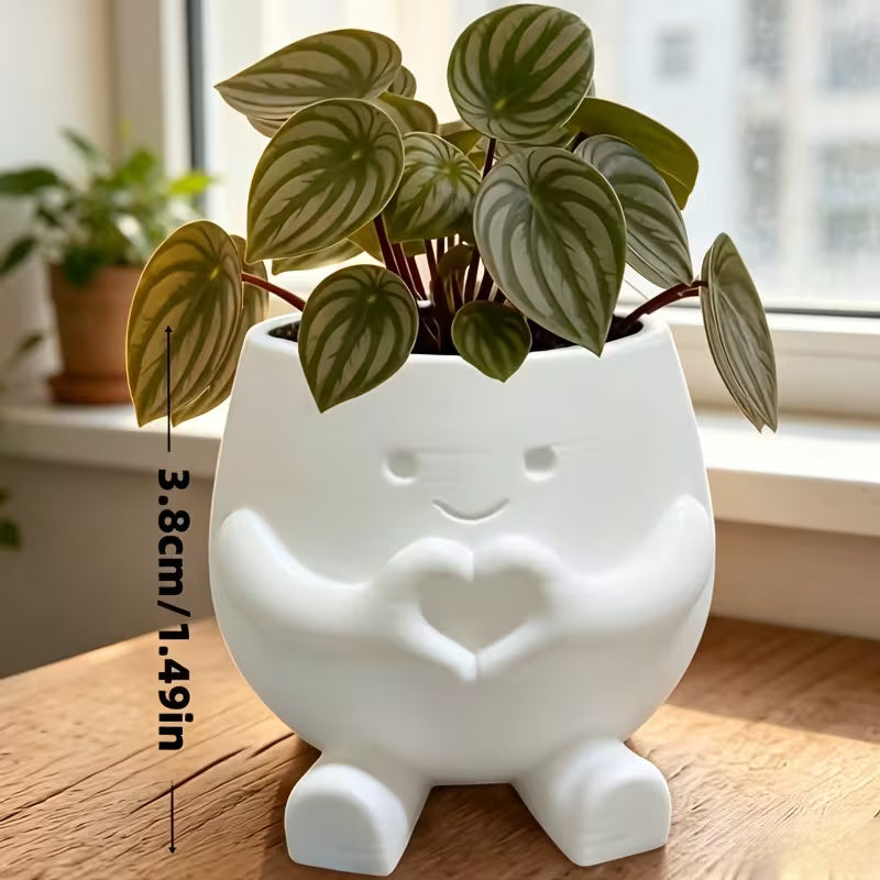 Cute Lucky Heart-Shaped Planter, Succulent and Pothos Flower Pot, Suitable for Desktop Art