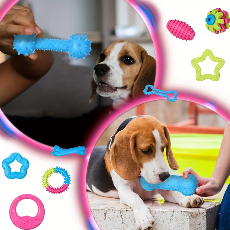 Dog Toys Designed Set