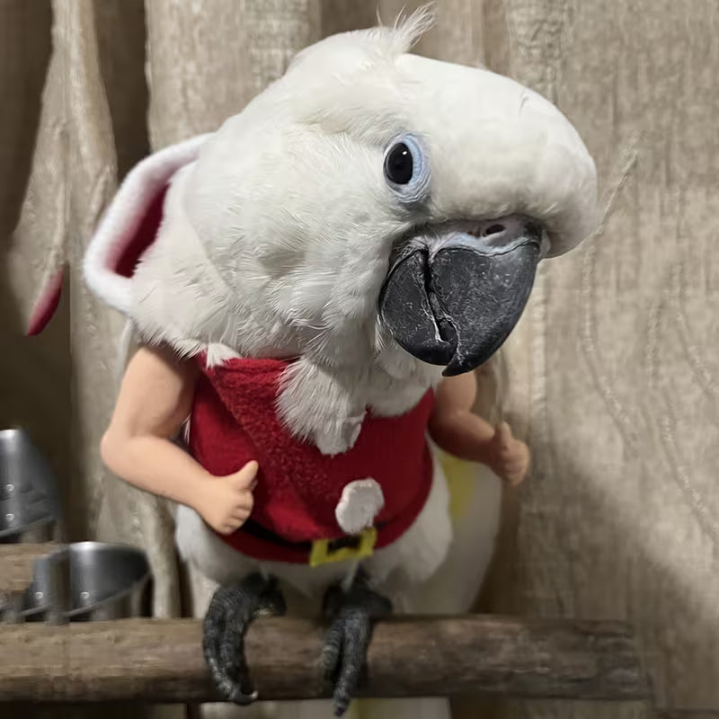 Funny Pet Arm Toy - Enrichoice Parrot, Chicken & Duck