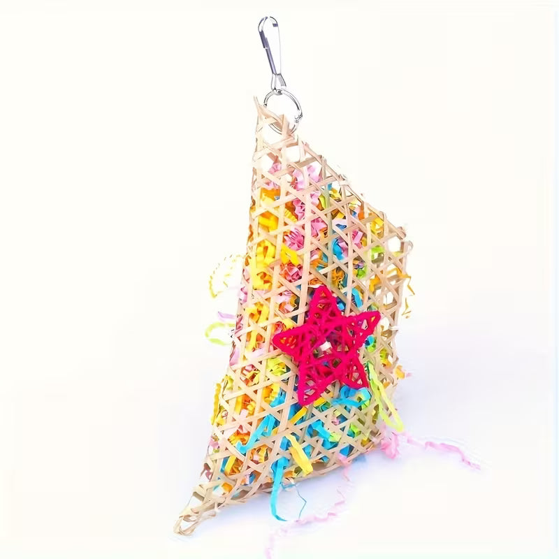 Colorful Parrot Chew
