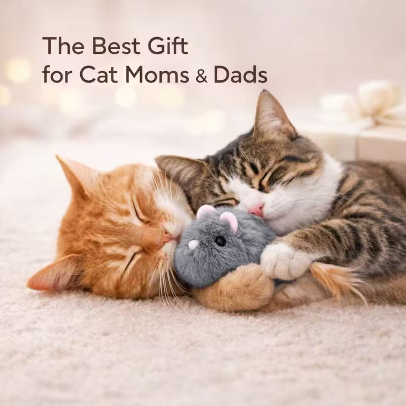 1 USB Rechargeable Remote Control Simulated Mouse Cat Toy Set
