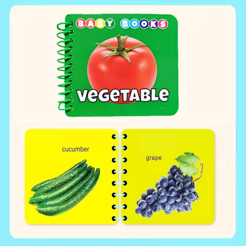 4-Pack Educational Flash Cards with Colorful Illustrations of Animals