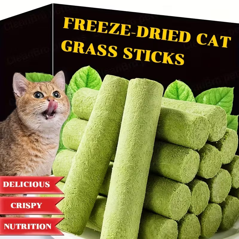 Cat Grass Grinding Stick, Dry Cat Grass Snacks