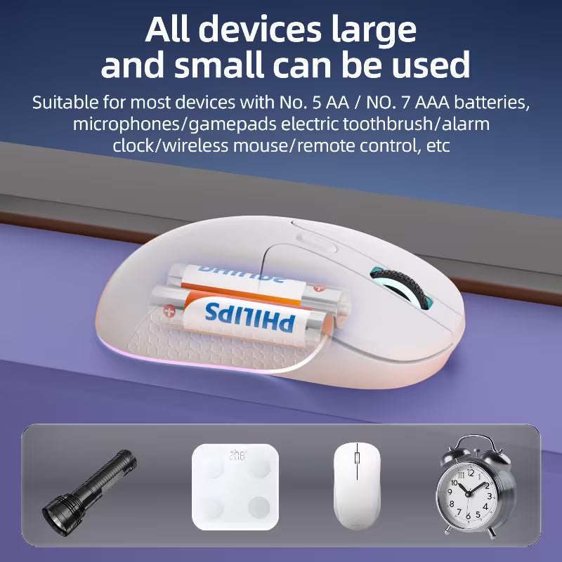 PHILIPS Carbon Zinc Disposable AA & AAA Batteries, 1.5V High