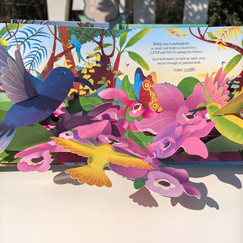 Pop-up Birds Series Develops Imagination and Reading Ability