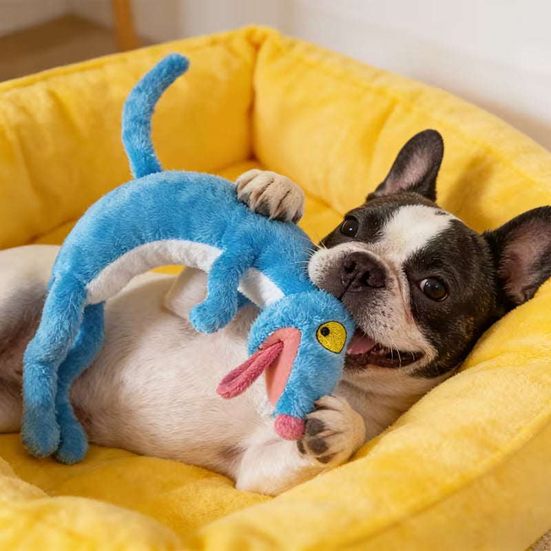 Pet Chew, Bite, and Squeaky Companion Toy