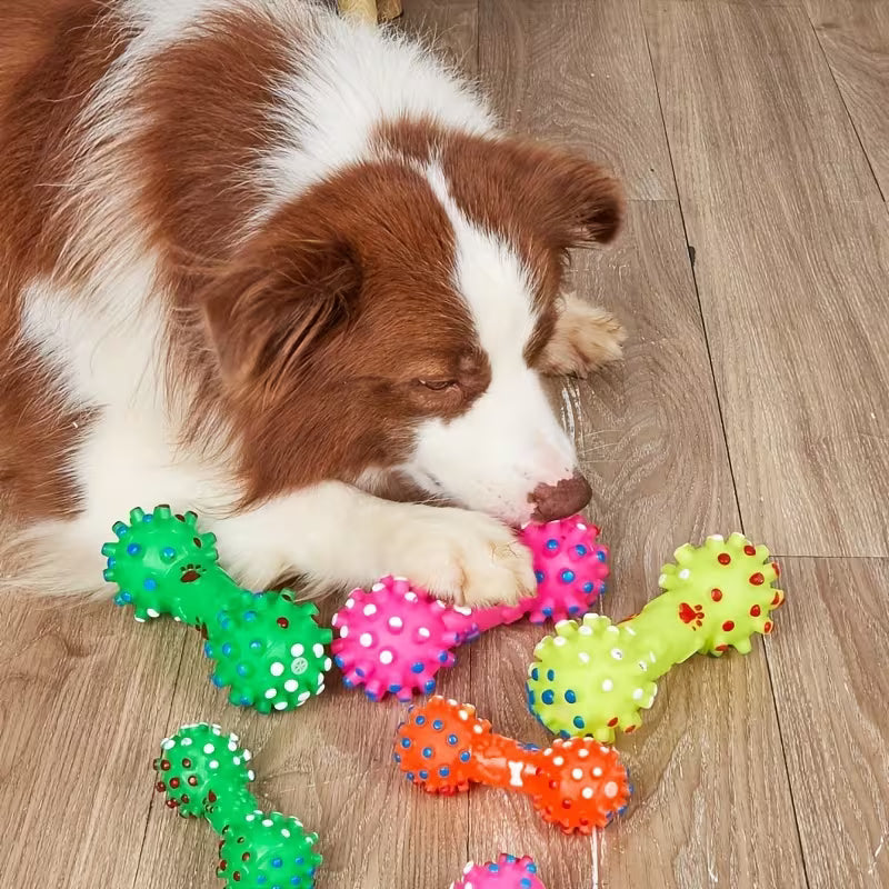 Pet Chew and Sound Toys Shipped Randomly Set