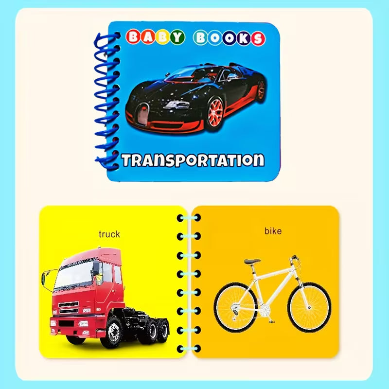4-Pack Educational Flash Cards with Colorful Illustrations of Animals