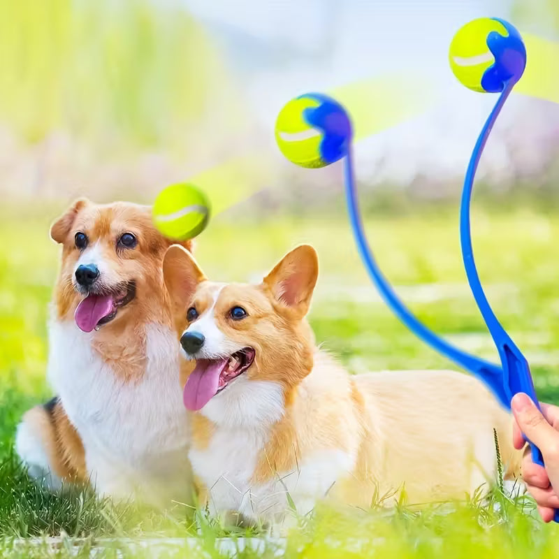 Pet Ball Launcher Dog Training Toy Thrower