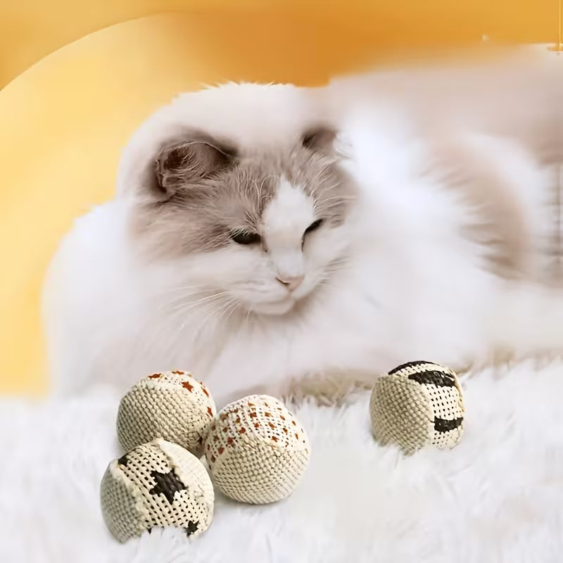 Cat Toy with Sound, Interactive Chase Ball, Random Cartoon Pattern