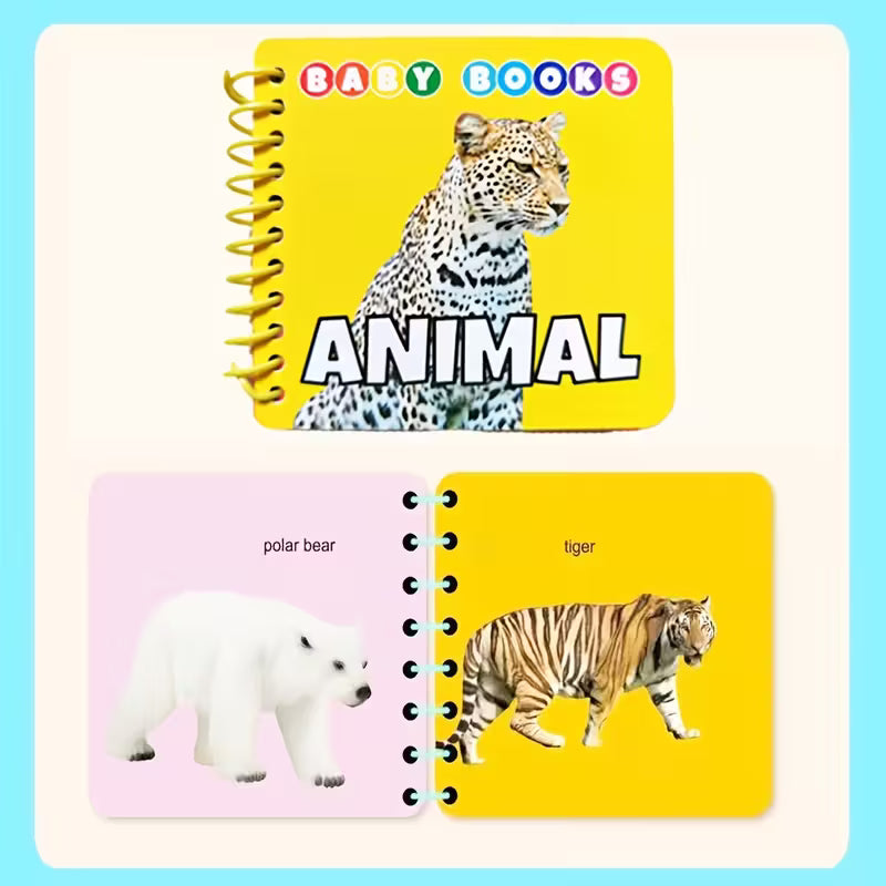 4-Pack Educational Flash Cards with Colorful Illustrations of Animals