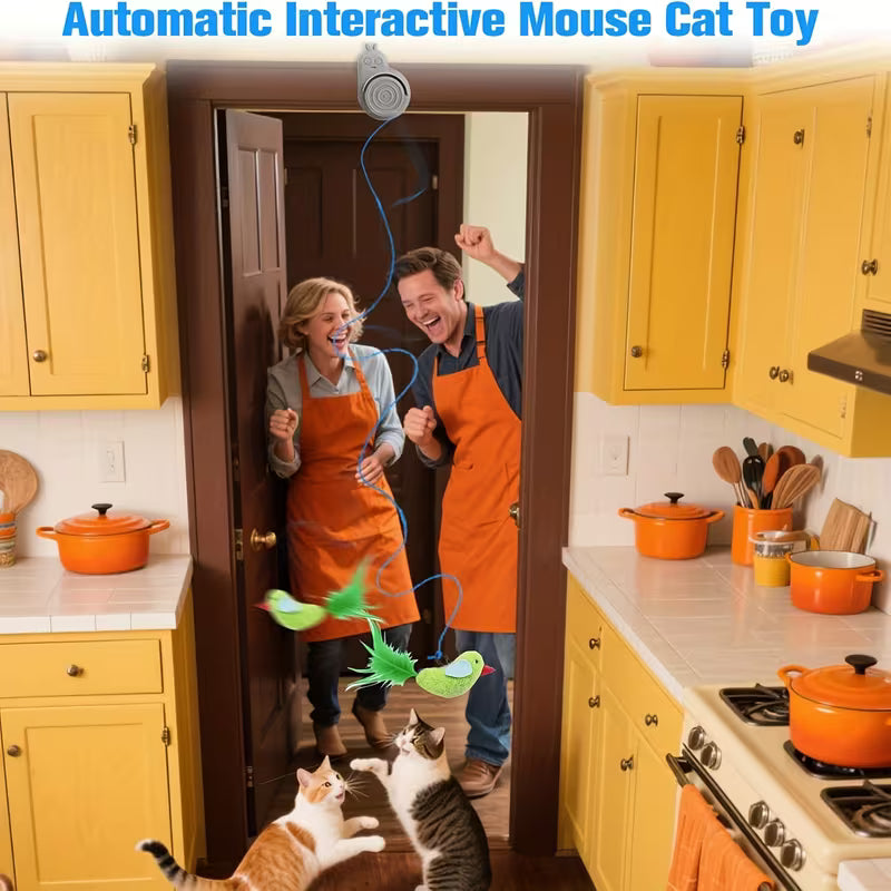 Interactive Cat Toys